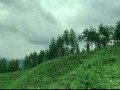 那山、那人、那狗