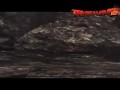 《每日游报》2011停运网游大盘点