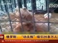 热点播报-20120229-实拍俄罗斯功夫熊玩耍棍棒有模有样