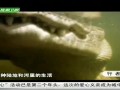 20120517