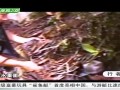 20120524