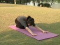 运动健身-20140326-简单易学 胸部瑜伽