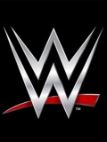 WWE摔角-超越极限赛20110523